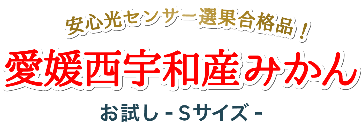 タイトル