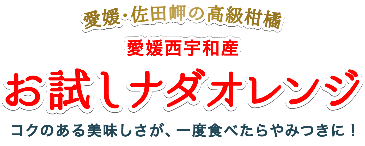 お試しナダオレンジ
