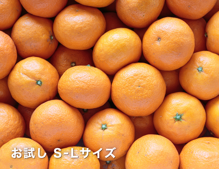 お試しイメージ