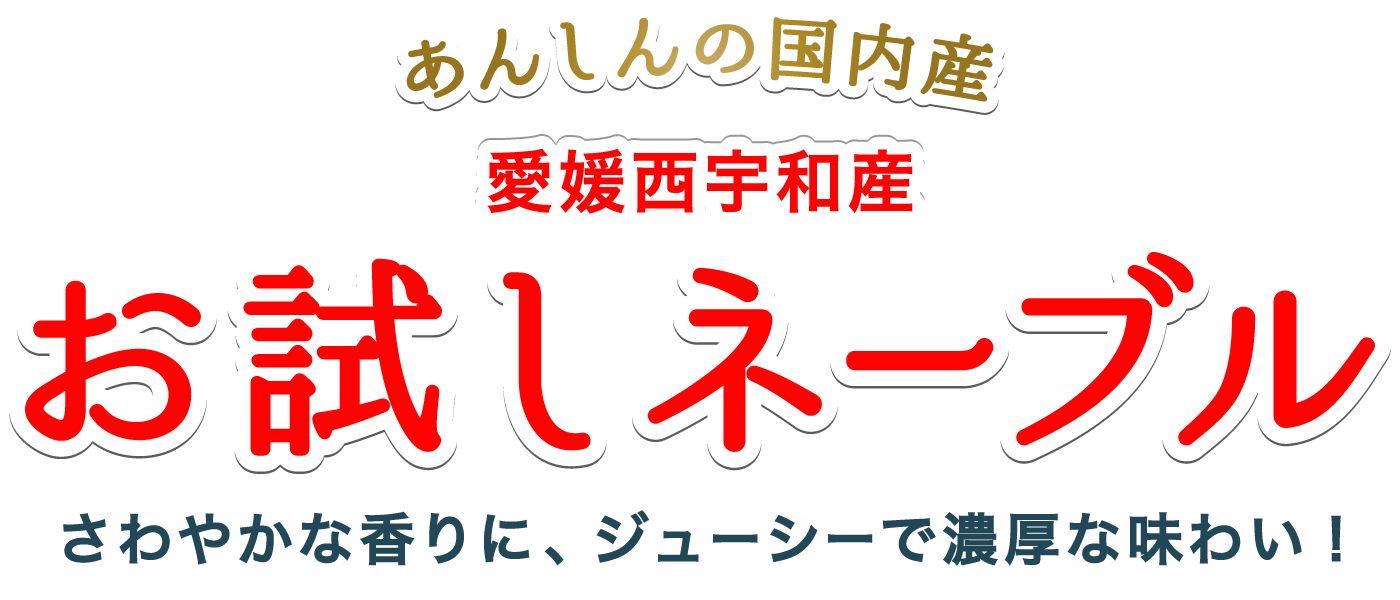 お試しネーブルタイトル