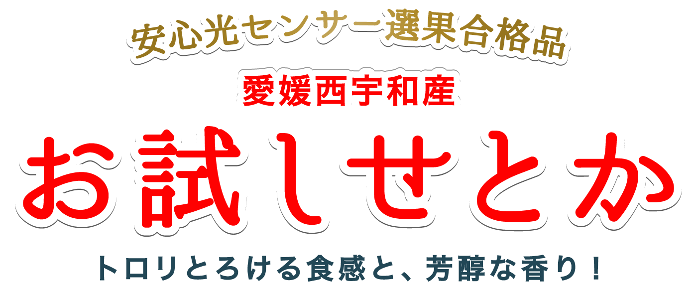 お試し用愛媛せとか