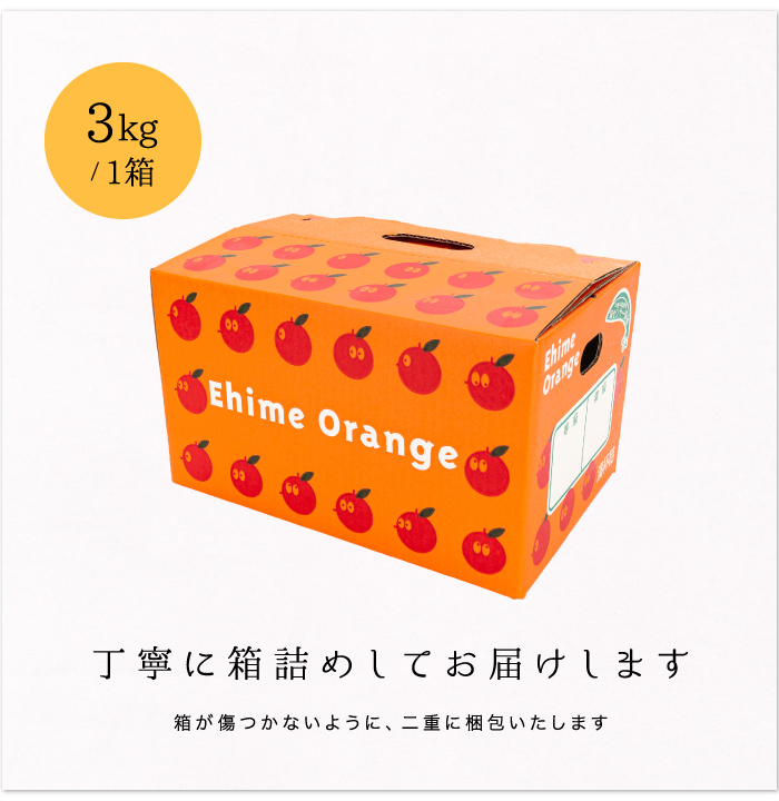 箱