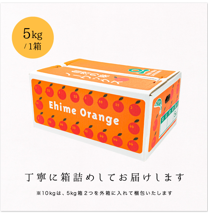 商品一覧