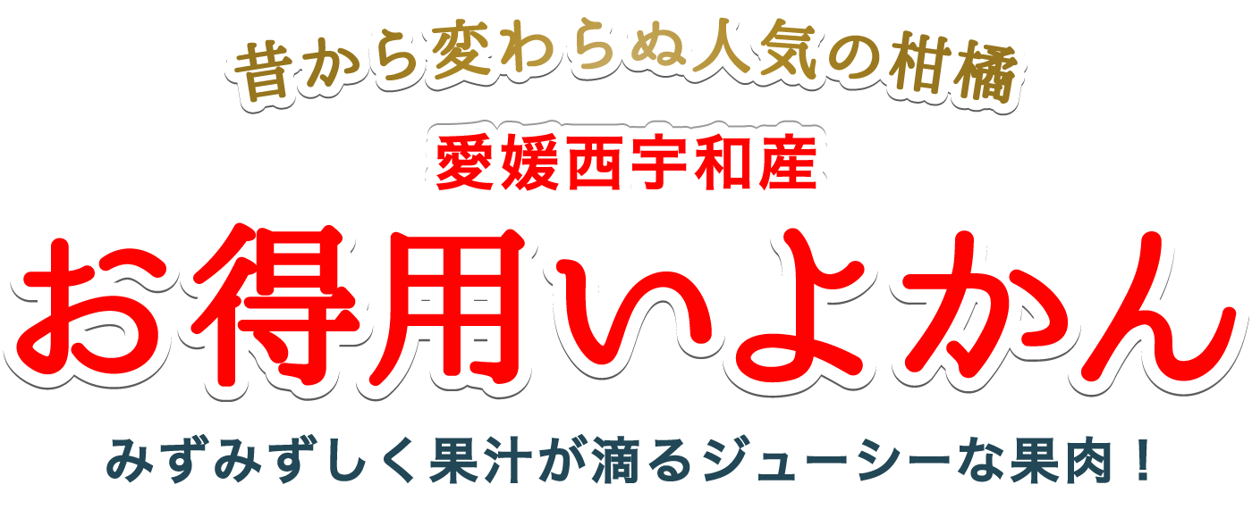 愛媛西宇和産お得いよかん