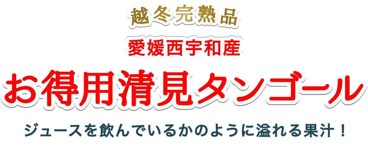 お得用清見タンゴール