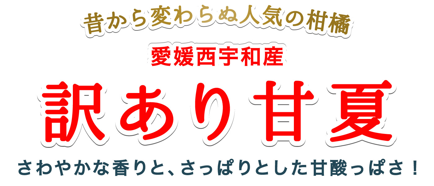 タイトル
