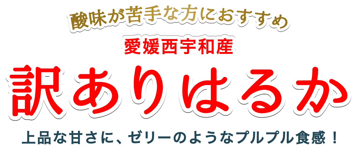 愛媛西宇和産訳あり愛媛はるか