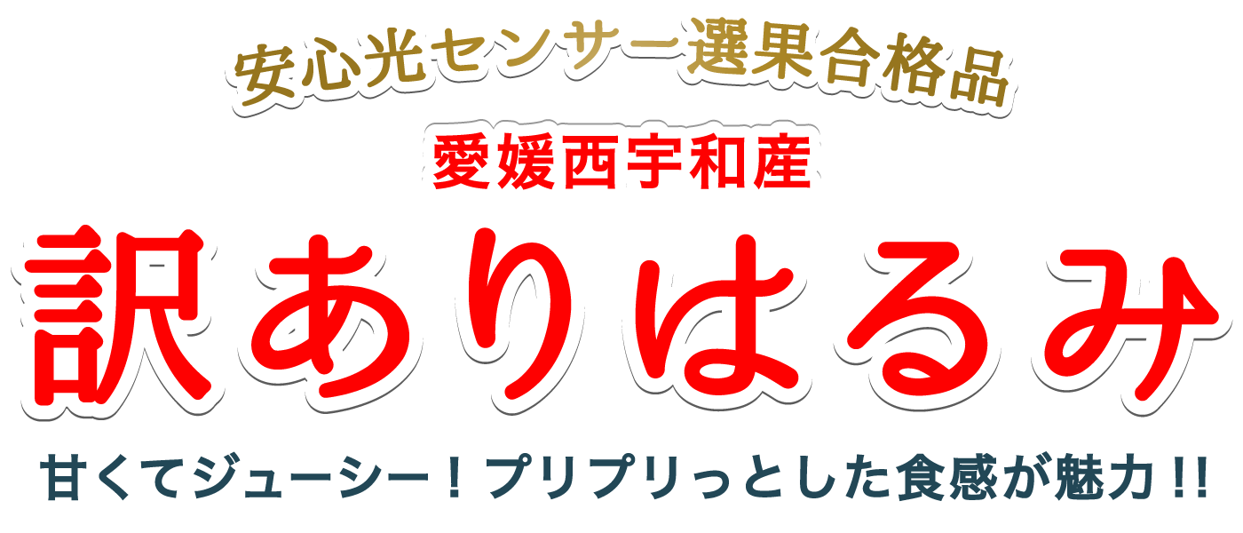 愛媛西宇和産訳あり愛媛はるみ