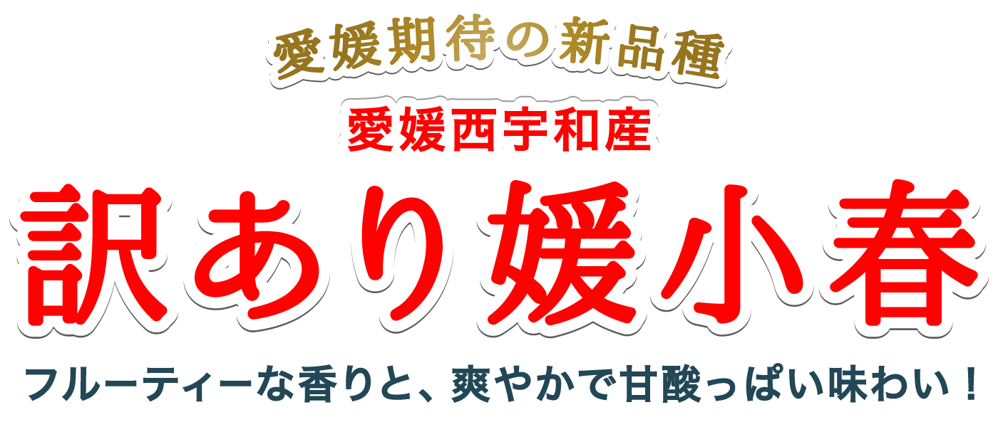 訳あり媛小春