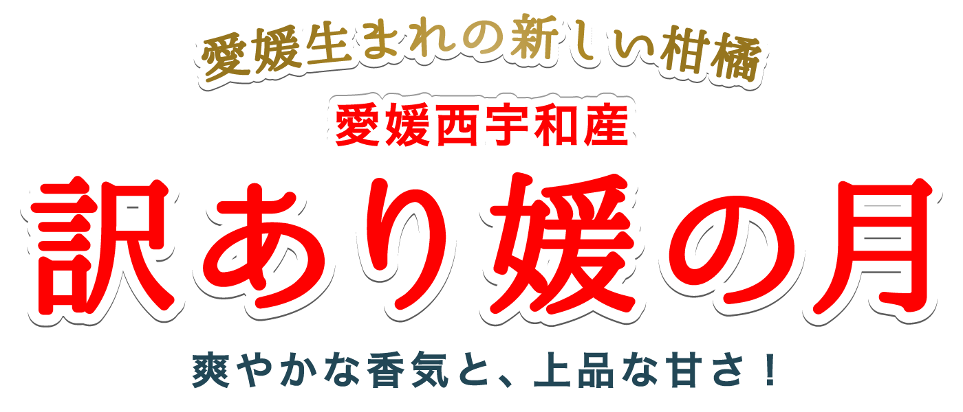 訳あり媛の月タイトル