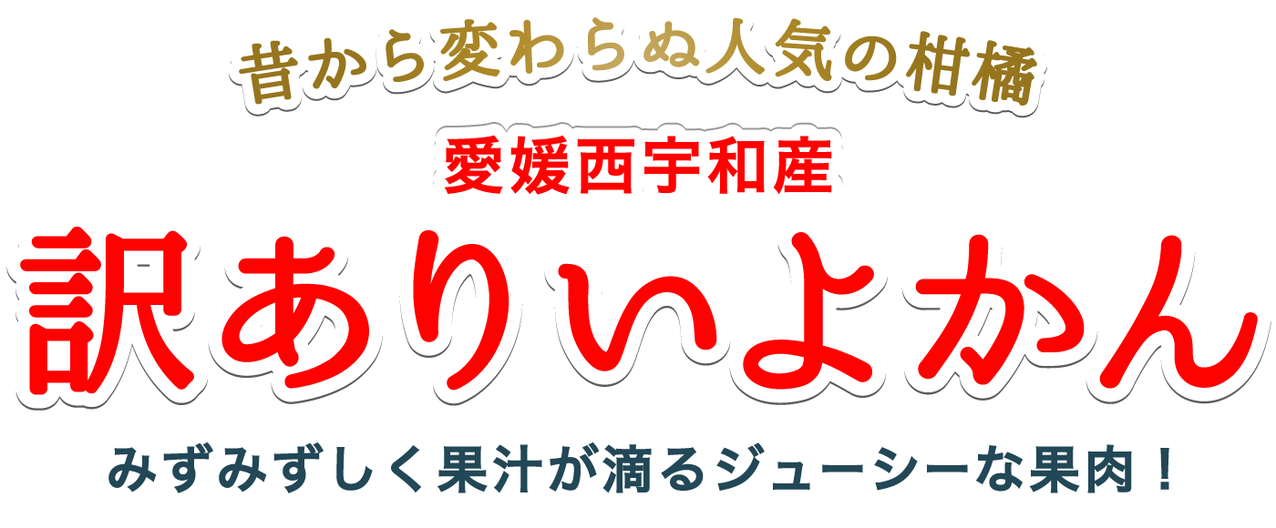 愛媛西宇和産訳ありいよかん