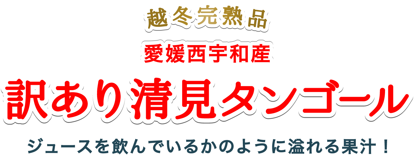 訳あり清見タンゴール