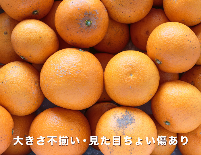 訳ありイメージ