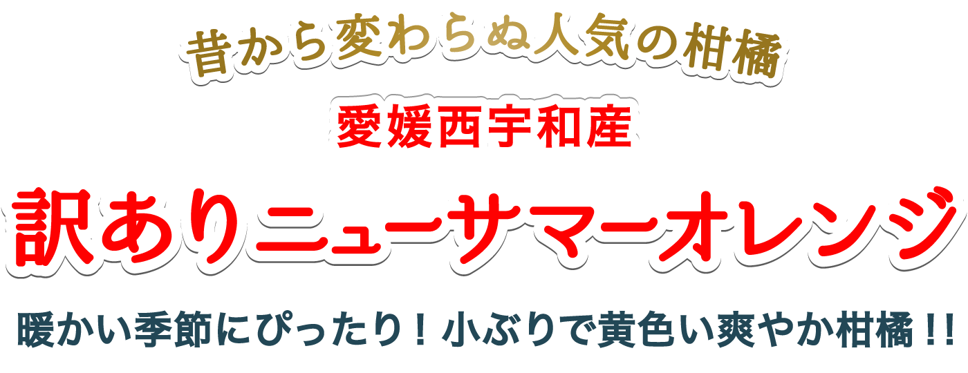 タイトル