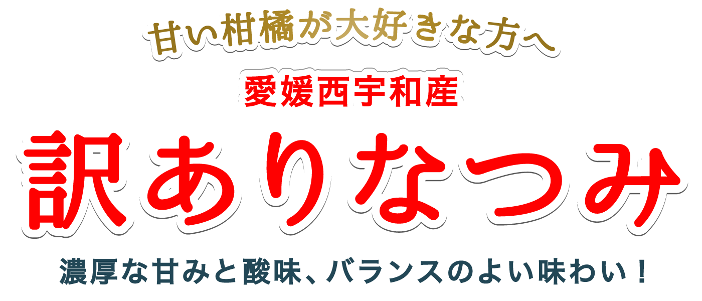 タイトル