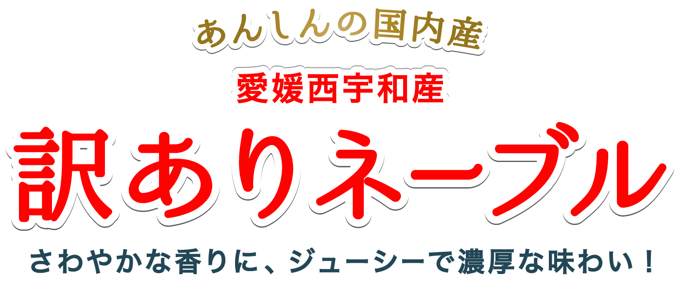 訳ありネーブルタイトル