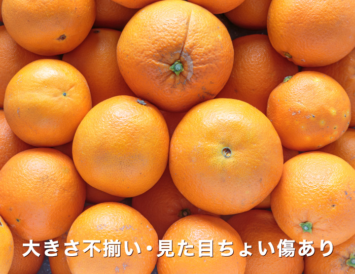 訳ありイメージ