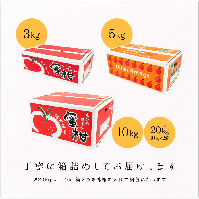 商品ラインナップ