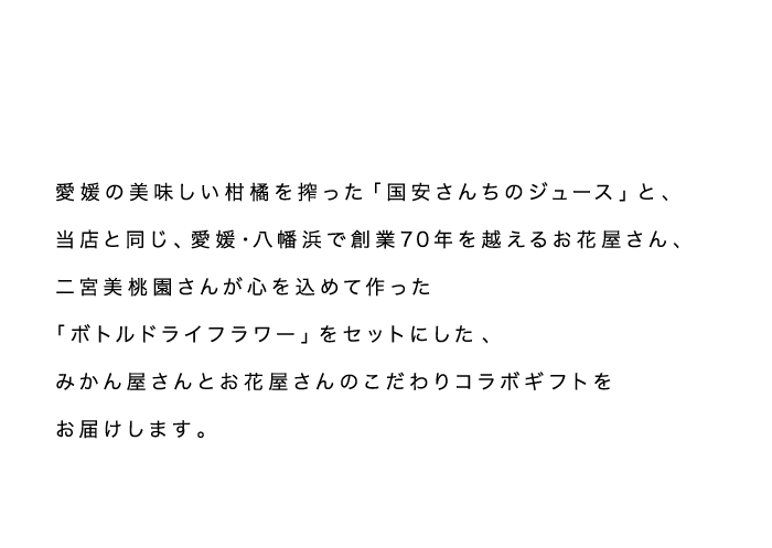 説明
