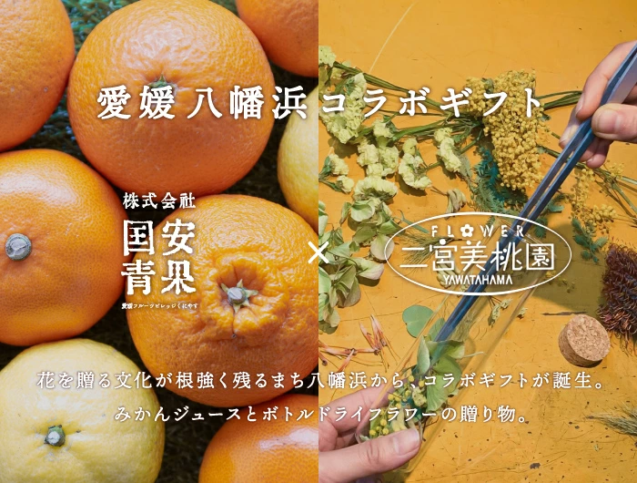 コラボギフト