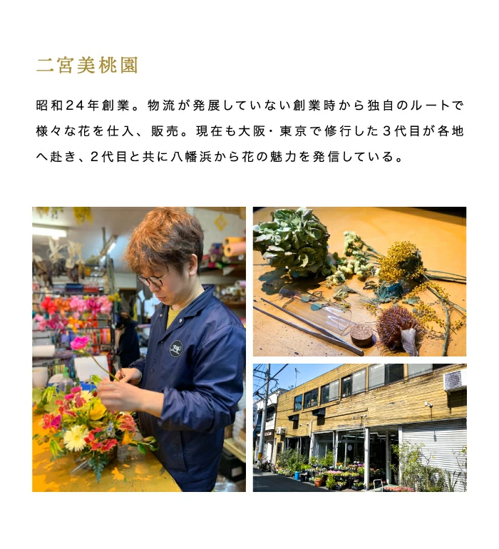 二宮美桃園について