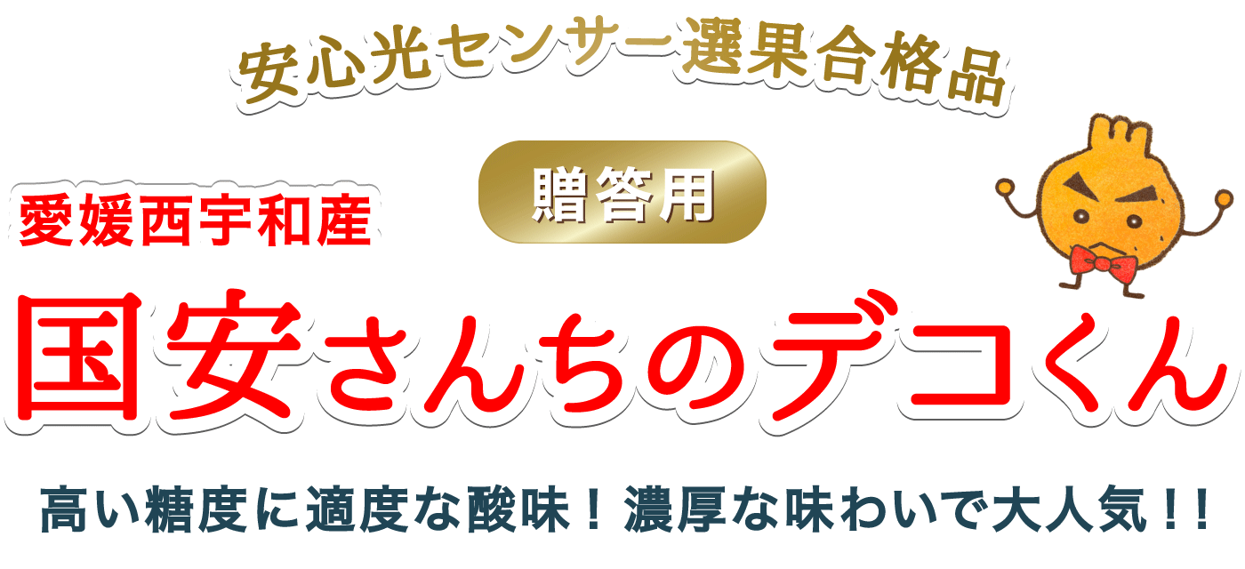 愛媛西宇和産贈答デコくん