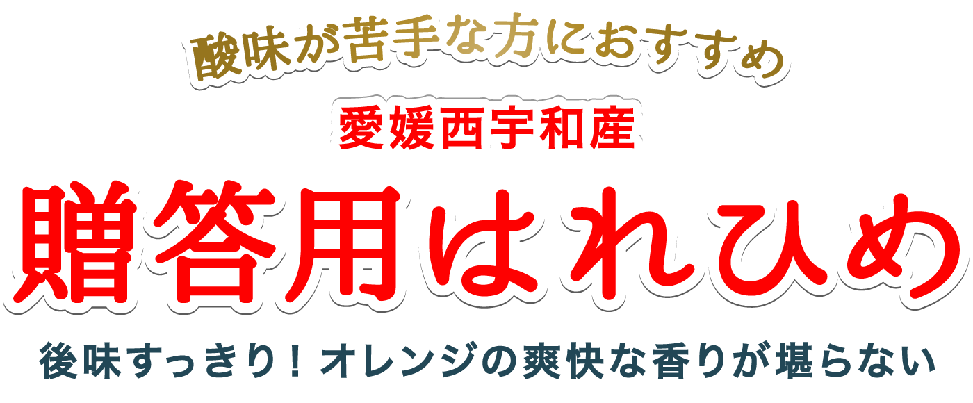 タイトル