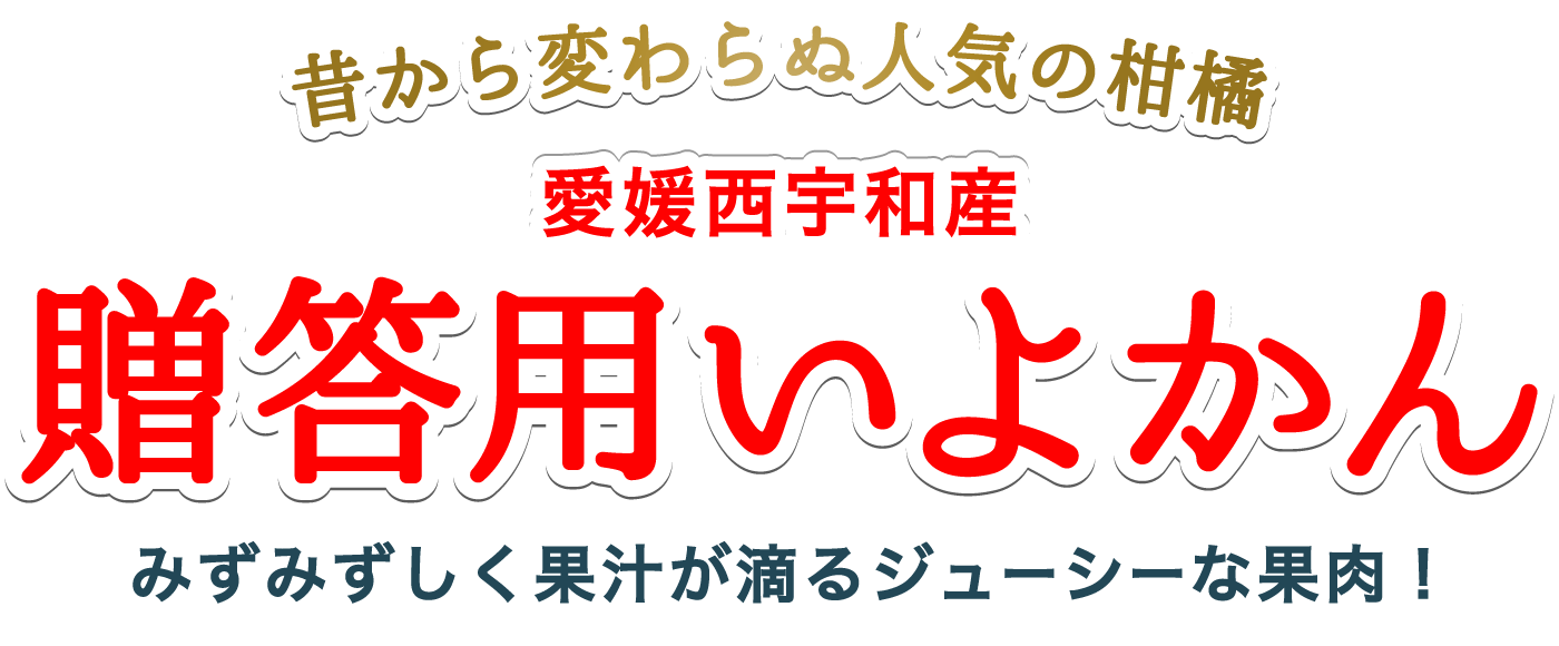 愛媛西宇和産贈答用いよかん