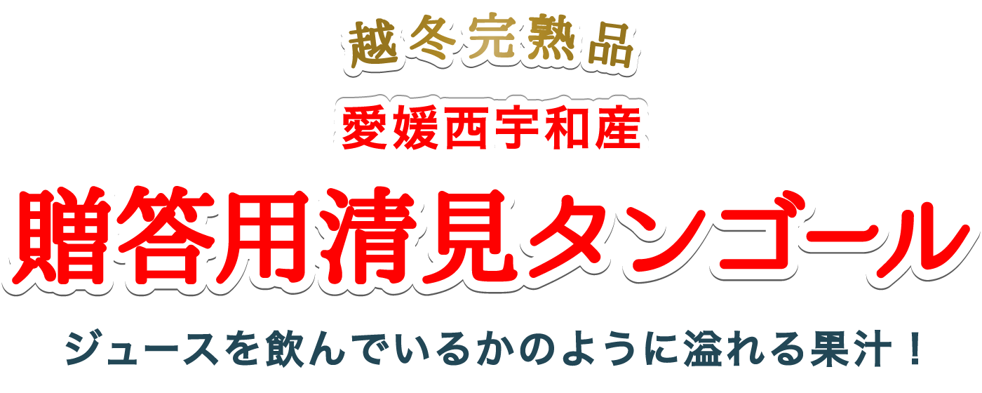 贈答用清見タンゴール