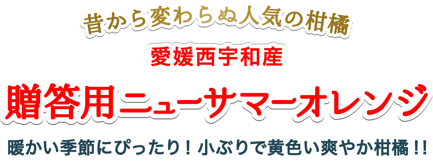 タイトル