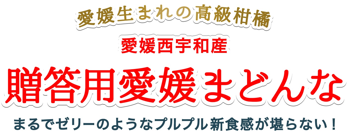 愛媛まどんなタイトル