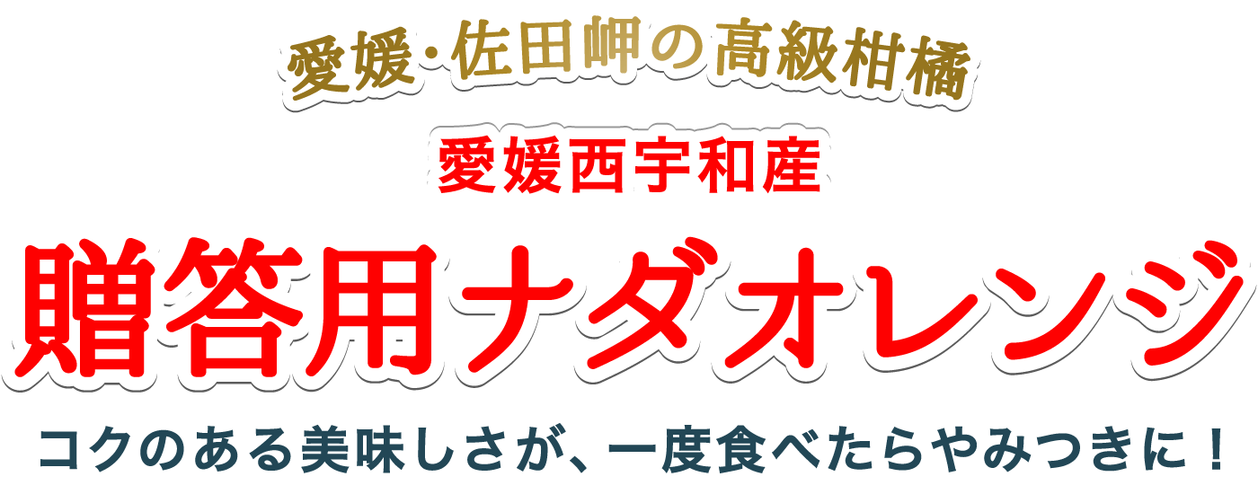 贈答用ナダオレンジ
