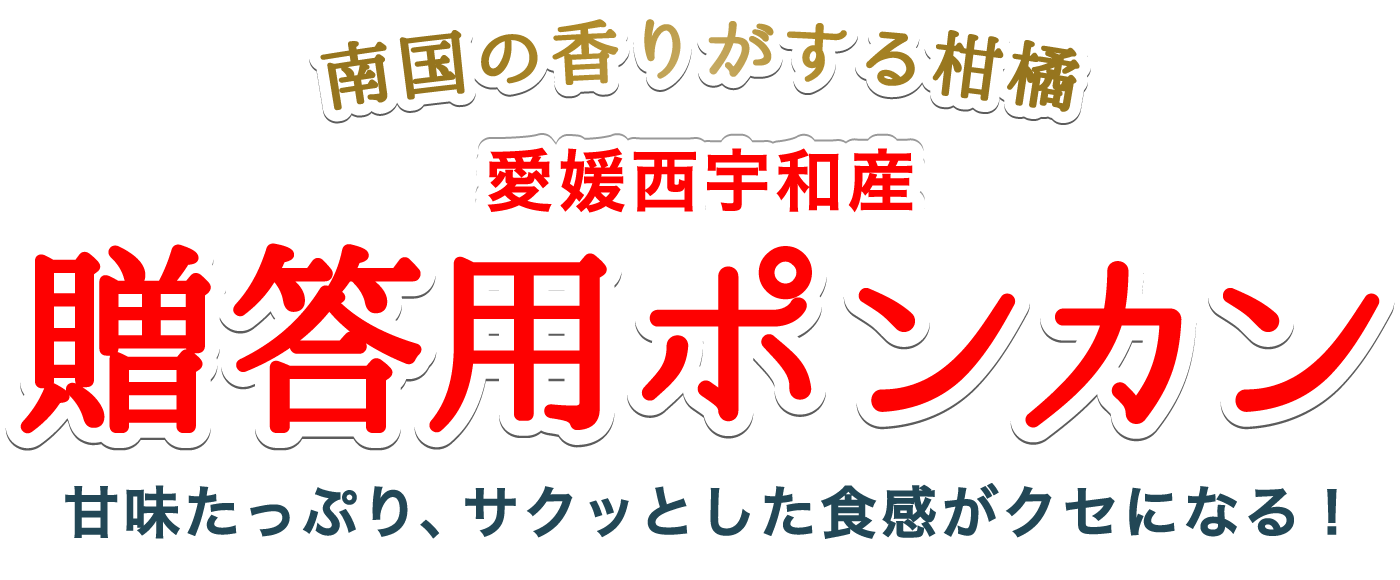 タイトル