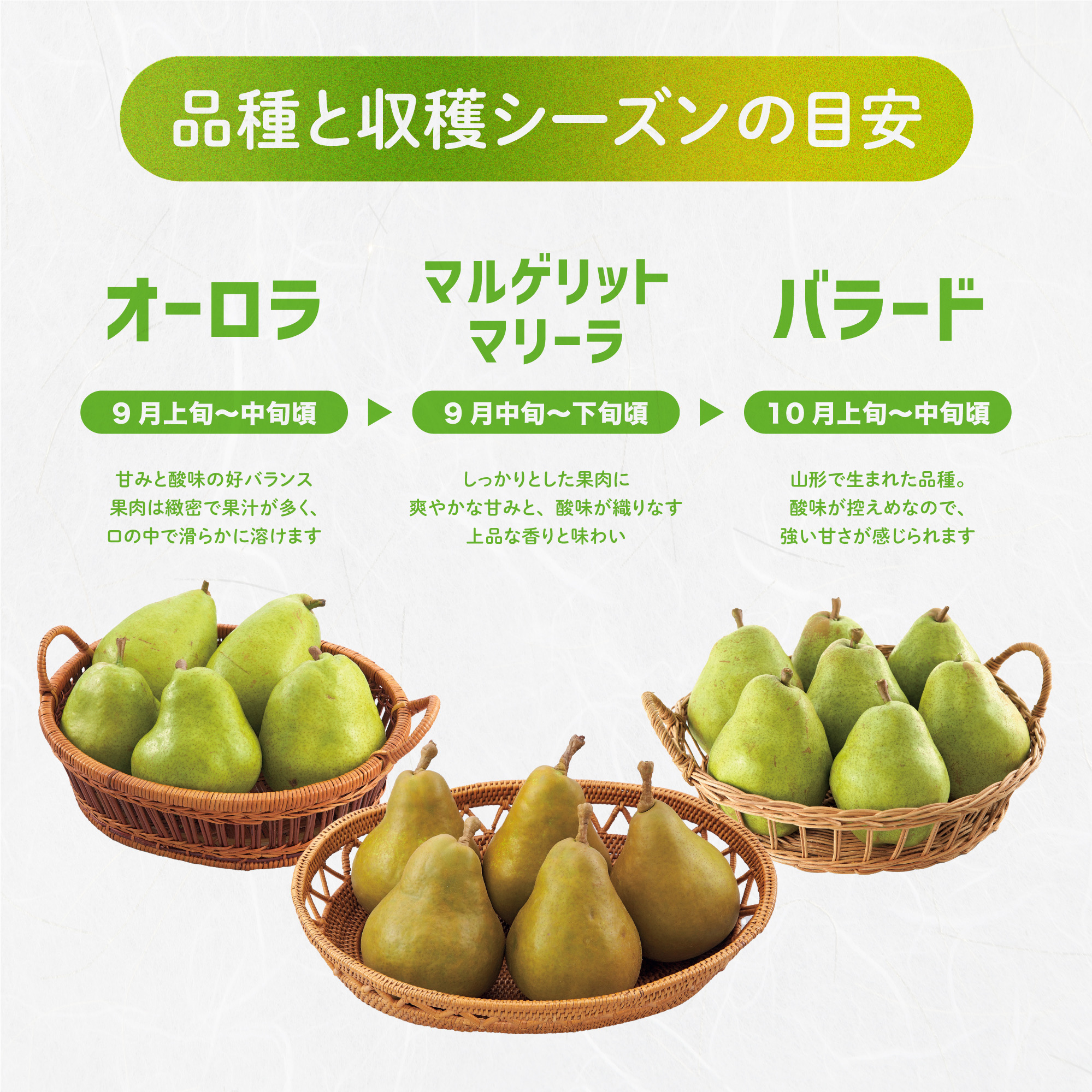 ラインナップ