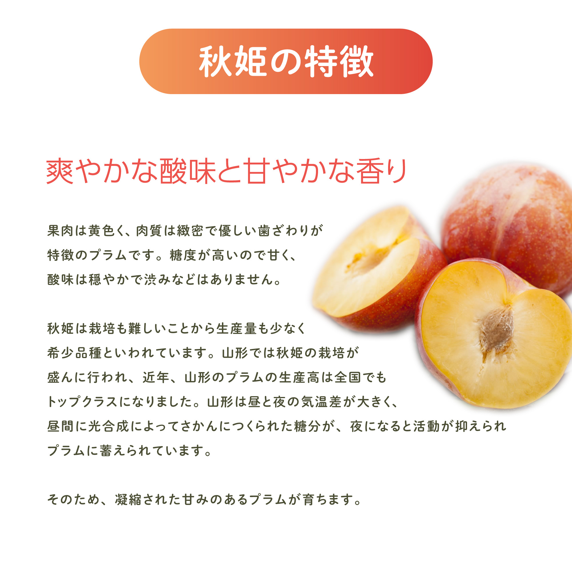 すももの特徴