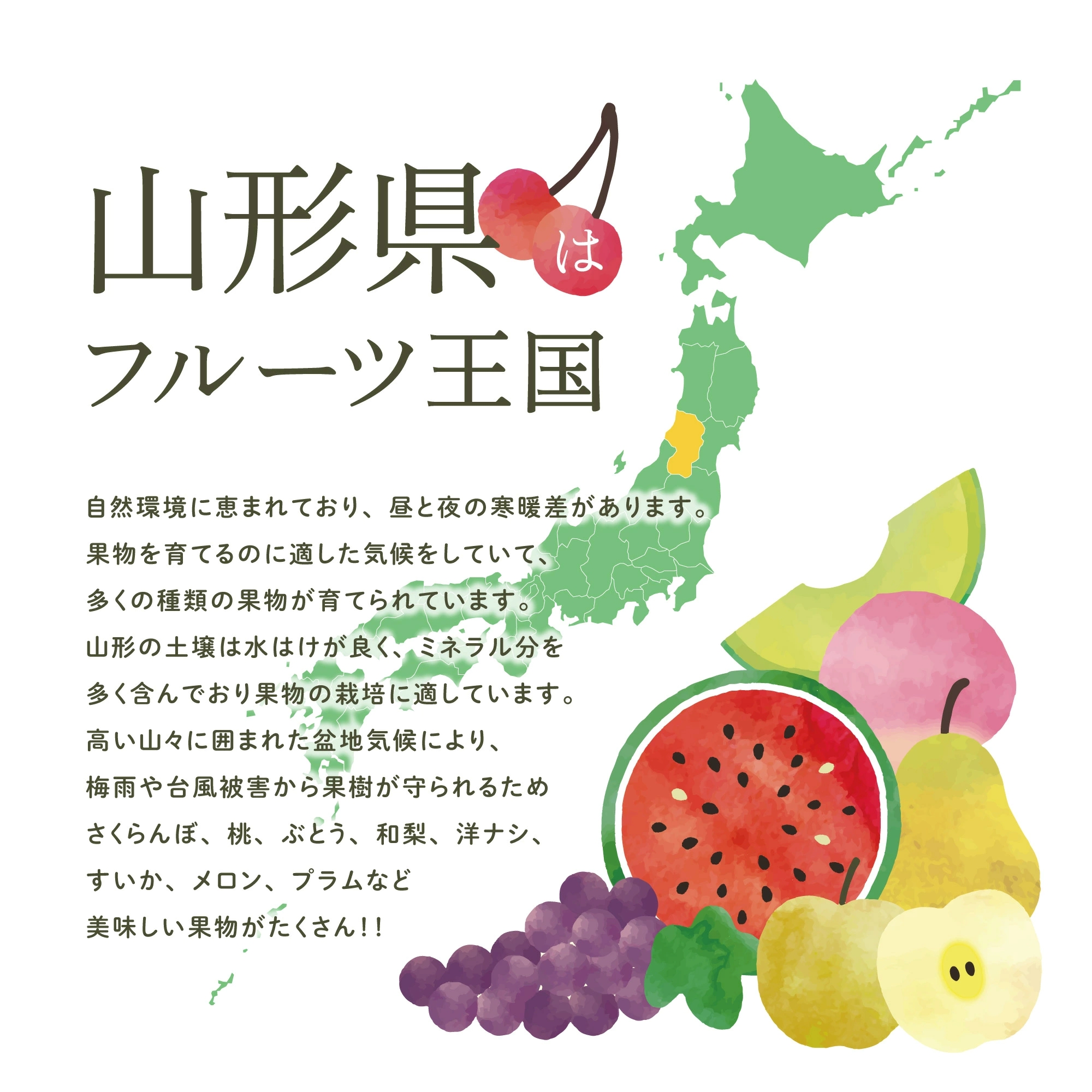 山形フルーツ