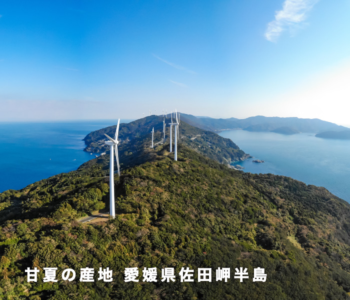 産地イメージ