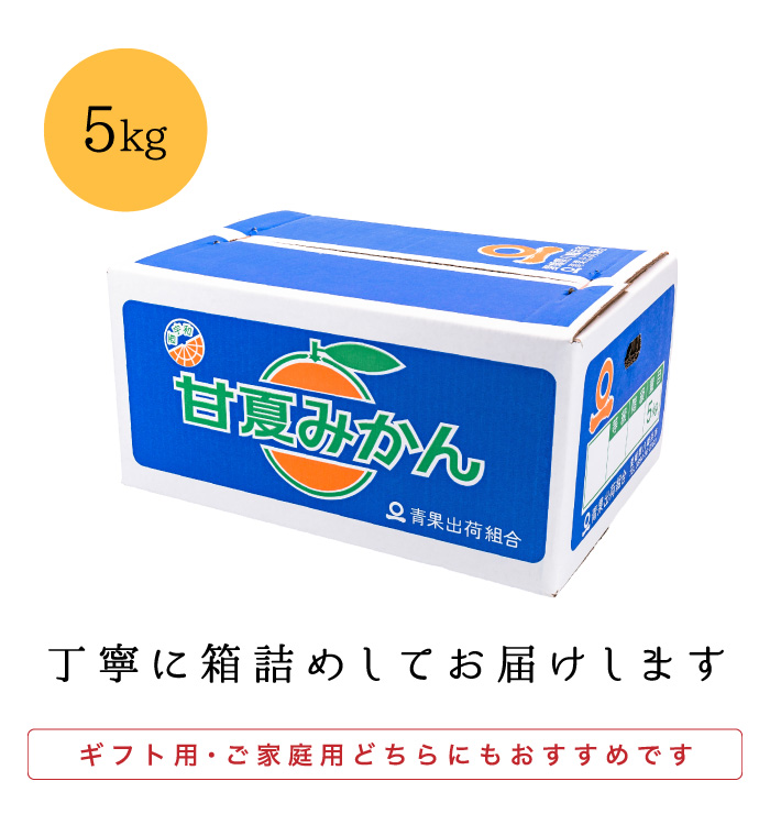梱包