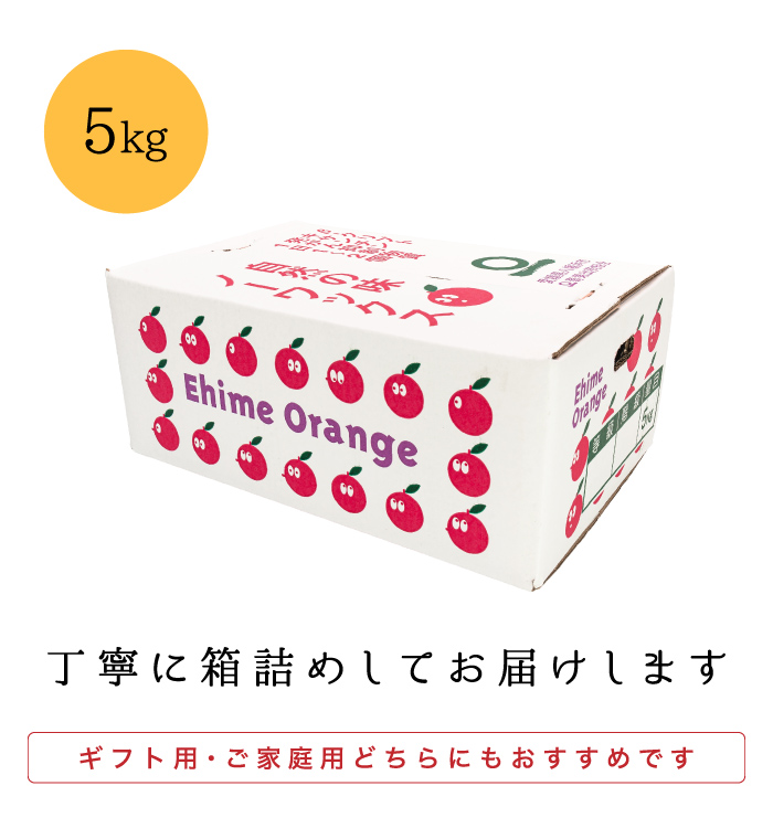 梱包イメージ