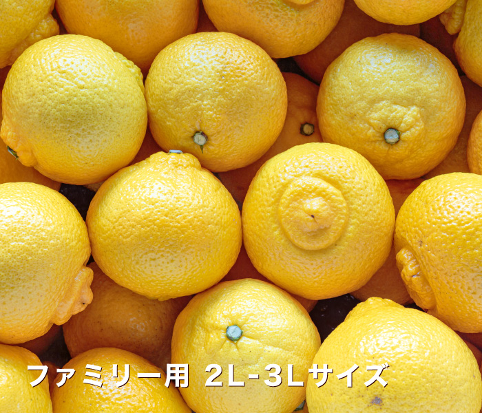 ファミリー用はるか