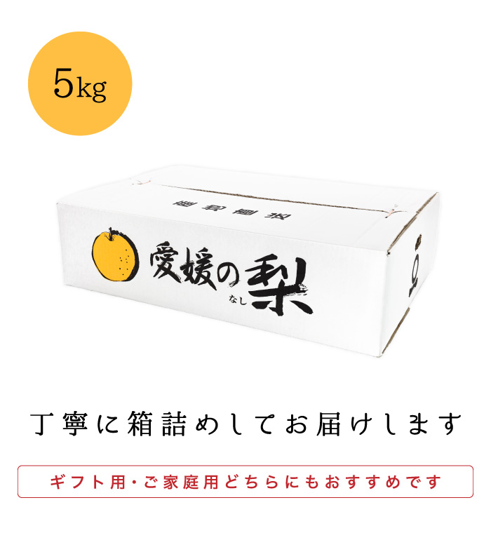 梱包イメージ