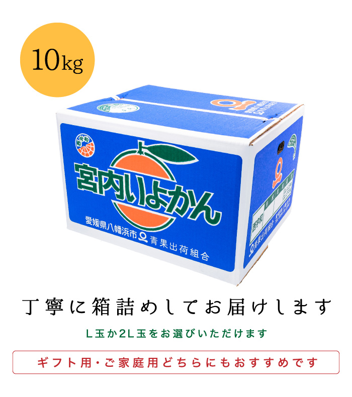 箱