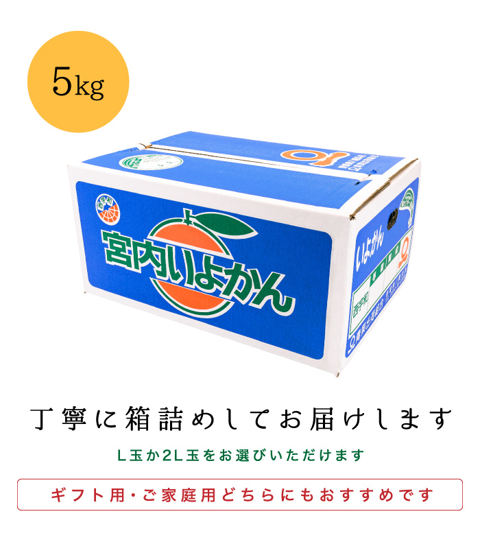 箱