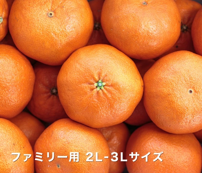ファミリー用甘平イメージ