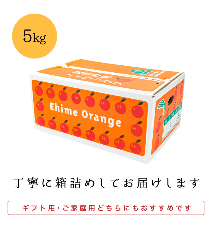 ファミリー甘平5kg梱包