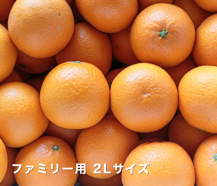 ファミリー用イメージ