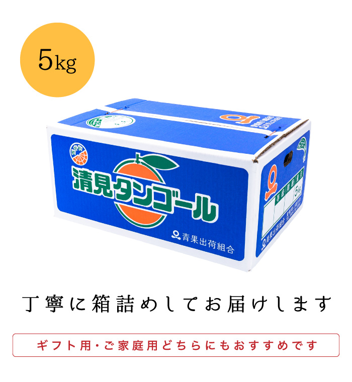 梱包