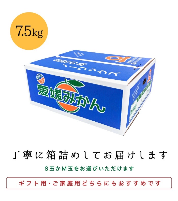 箱