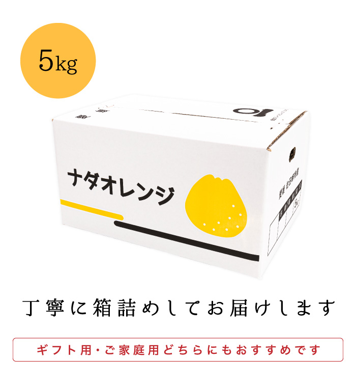 箱