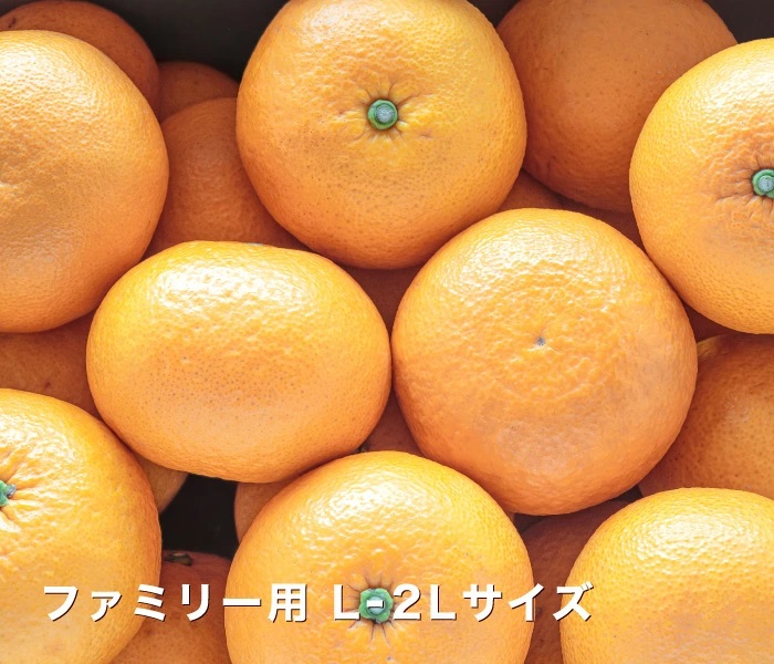 ファミリーイメージ